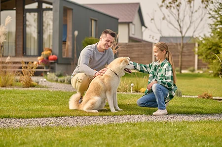 family playing with dog outside