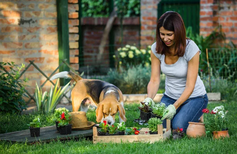 woman gardening outside with her dog