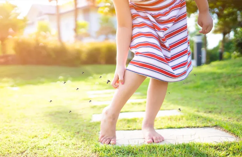 mosquitoes annoying girl playing outside